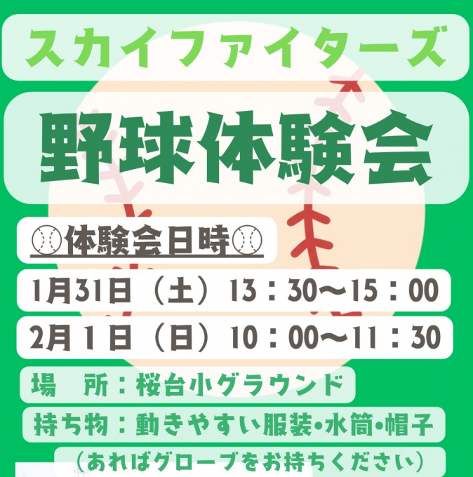 スカイファイターズ