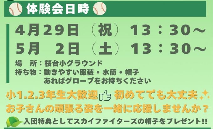 スカイファイターズ