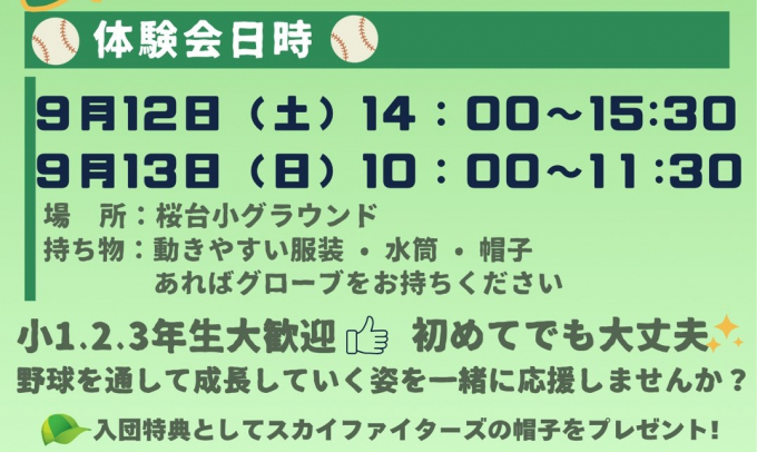 スカイファイターズ